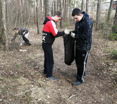 День экологических знаний