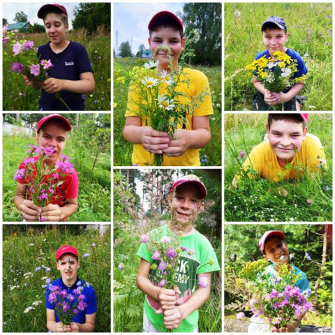 День летнего букета