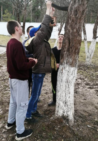 Детям о птицах