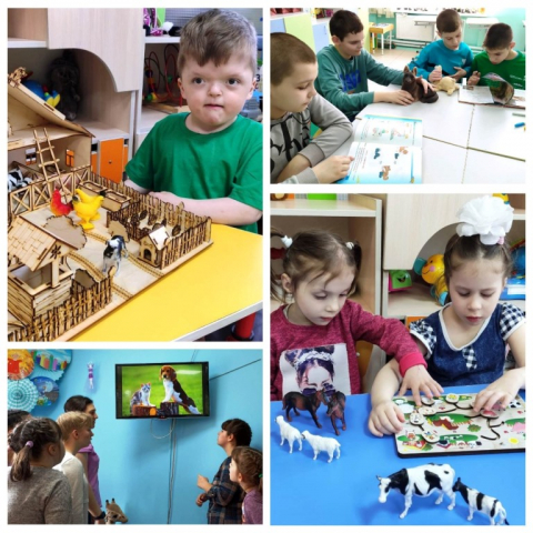 Изучаем домашних животных
