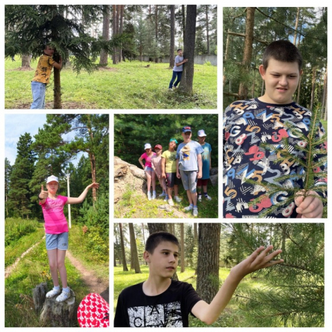 Любовь к родному лесу
