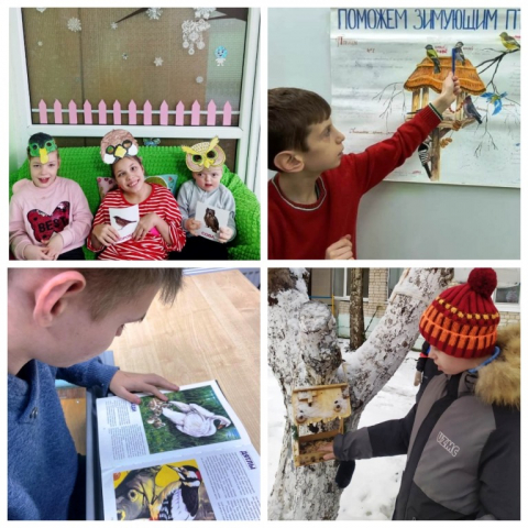 О зимующих птицах