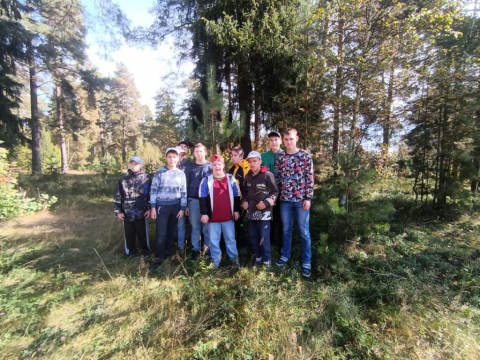 Прогулка в осенний лес
