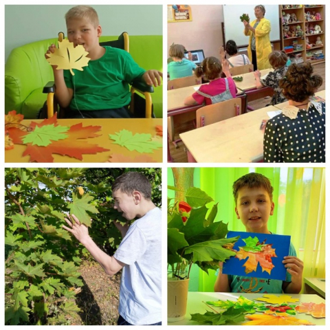 Такие разные листочки!