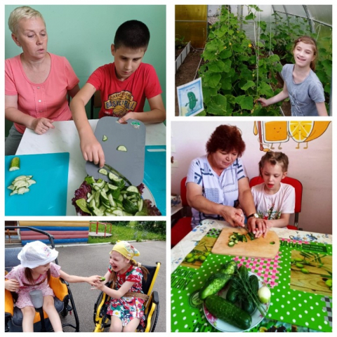 В День огурца