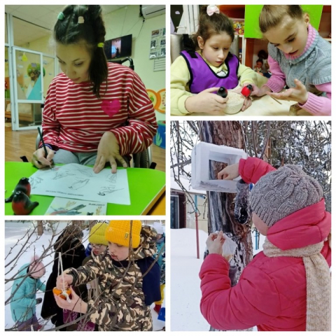 Забота о птицах
