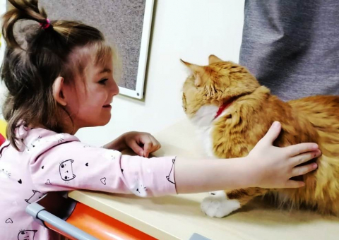 Живой уголок дарит радость