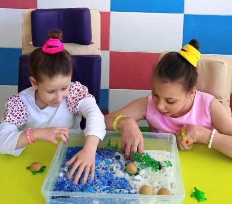 Знакомство с жизнью черепах