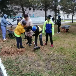 Социально-трудовые услуги